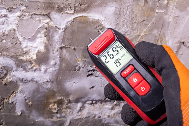 Best Black Mold Removal  in Merriam Woods, MO
