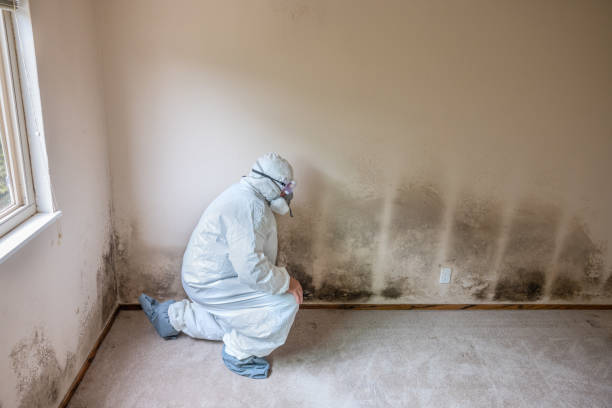 Best Mold Testing  in Merriam Woods, MO