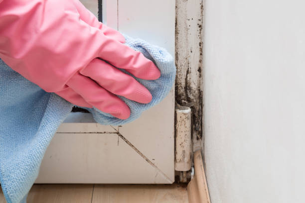 Best Mold Remediation  in Merriam Woods, MO